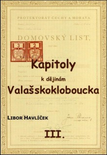 l.-havlicek--kapitoly-k-dejinam...-iii---2010.jpg